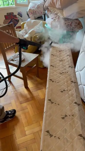 Tratamientos contra chinches de cama y ácaros