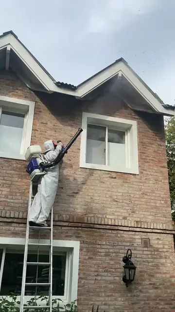 Fumigación antinido en techos